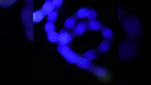 Провод для зарядки с подсветкой смотреть онлайн
