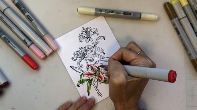 Copic Lily Bouquet смотреть онлайн