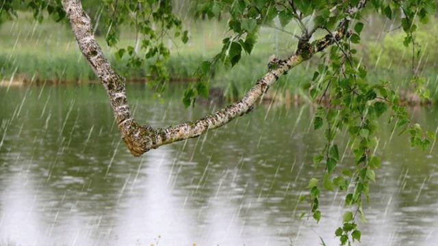 Она попала в автокатастрофу...Он был в больнице сутки на пролёт... Большая Любовь... смотреть онлайн