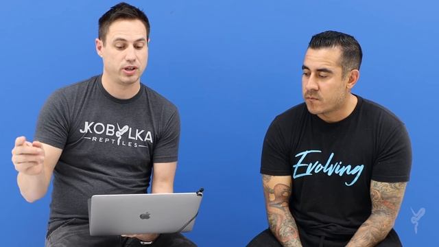 Start with Visuals or Hets? Ball Python Strategies with Miguel from AEP смотреть онлайн