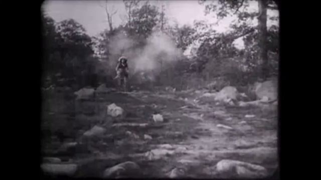 White Fawn's Devotion with Soundtrack смотреть онлайн