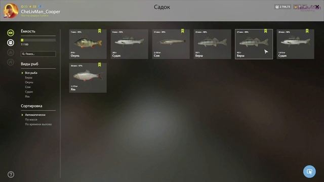 РР4 РЕКА СУРА БЕРШ СУДАК / РУССКАЯ РЫБАЛКА 4 СУРА НЕМНОГО БЕРШЕЙ И СУДАКА НА ЖИВЦА смотреть онлайн