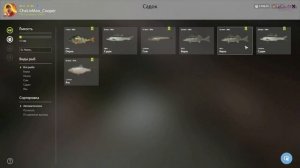 РР4 РЕКА СУРА БЕРШ СУДАК / РУССКАЯ РЫБАЛКА 4 СУРА НЕМНОГО БЕРШЕЙ И СУДАКА НА ЖИВЦА