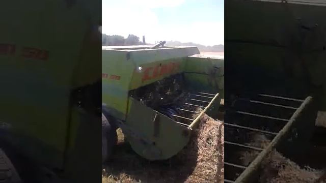 МТЗ 80 + Сено Пресс CLASS ~ 50 . смотреть онлайн