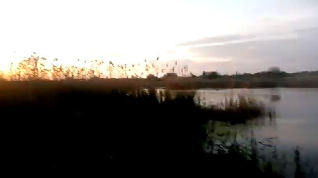Семикаракорск смотреть онлайн