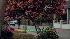 Раисат Магомедова - Твои слова 2023