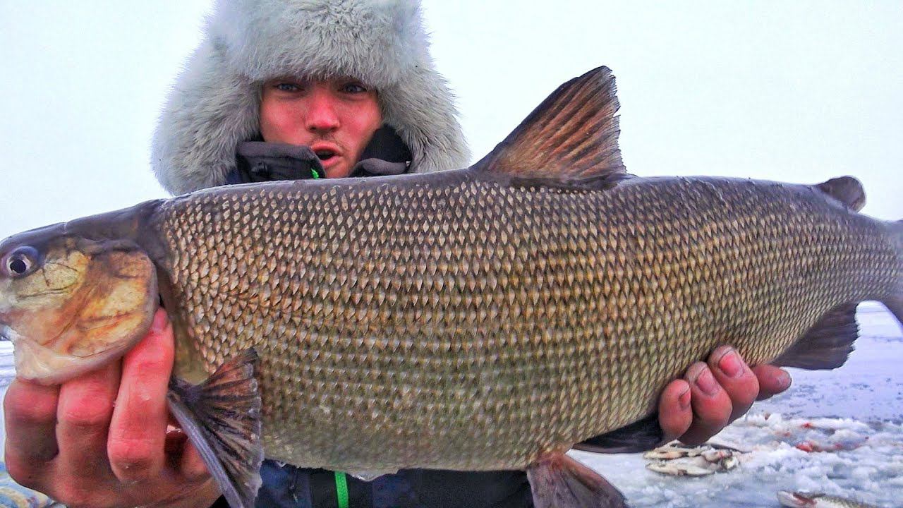 СЧАСТЛИВЫЕ ЛЮДИ ТУНДРЫ! ОДНИ В АРКТИКЕ НА РЫБАЛКЕ! ЗАПОЛЯРЬЕ Ч.6 смотреть онлайн