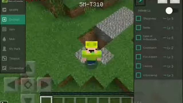Too many items MCPE Master для Minecraft PE смотреть онлайн