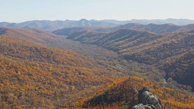 Парк драконов. Приморский край, с.Чистоводное смотреть онлайн