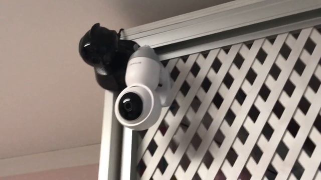 Motion tracking 1080P IP-камера Blitzwolf bw-shc1 смотреть онлайн