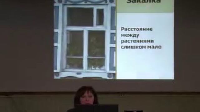 Выращивание томатов.flv смотреть онлайн
