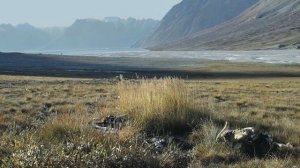 Интересные факты о Северной Америке // Interesting facts about North America