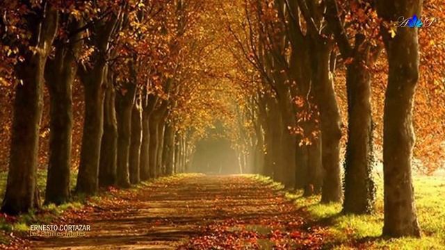 ERNESTO CORTAZAR - Les Feuilles Mortes(Autumn Leaves) смотреть онлайн