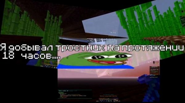 50 Алхимия (Hypixel Skyblock)