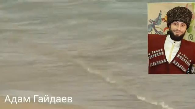 лакку балай Адам Гайдаев смотреть онлайн