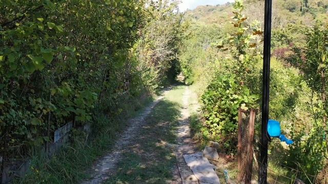 ЗУ СНТ Черномор смотреть онлайн