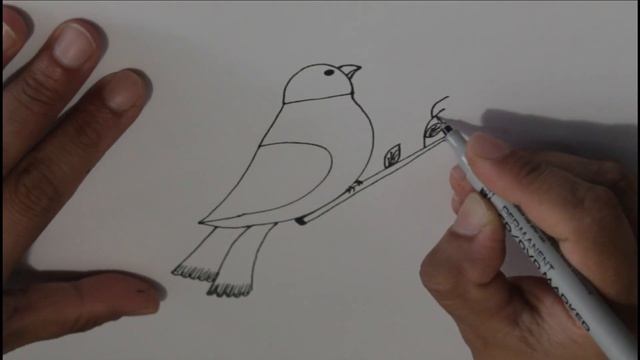 How to draw parrot from number 5 by draw simply!как нарисовать попугай из цифры 5 смотреть онлайн