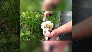 замена датчика уровня топлива. Авео т250