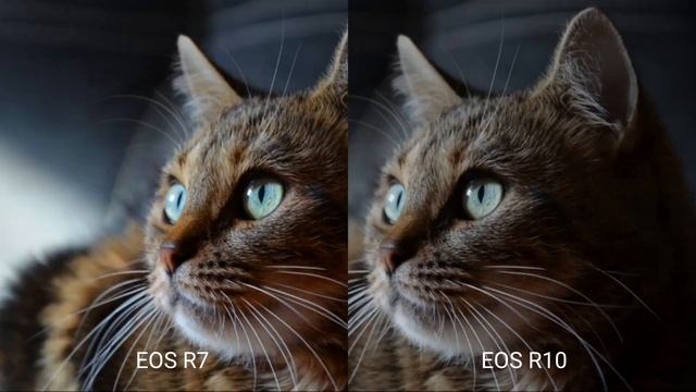 ĐÁNH GIÁ CHẤT LƯỢNG VIDEO - CANON EOS R7 & EOS R10 - BAN ĐÊM смотреть онлайн