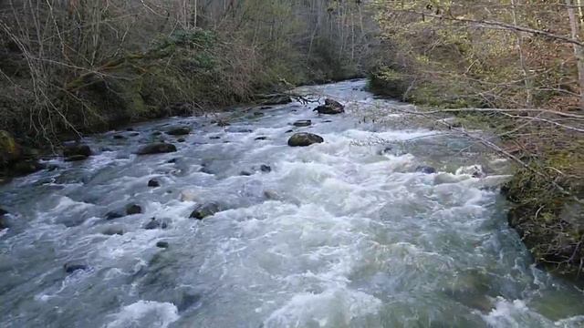 Suisse Switzerland Швейцария Горы район Вале река горная rivière river mountain forests montagne смотреть онлайн