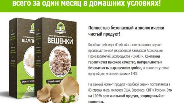 купить грибницу для выращивания в домашних смотреть онлайн