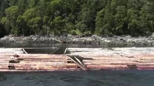 little tug and big log boom dodd narrows bc смотреть онлайн