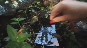 Кладбищенская ПОРЧА на врага / Наложить оброк на 13 лет / Наказание врагов / Авторский