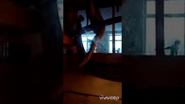 Очень любопытные и спокойные УДАВЫ! смотреть онлайн