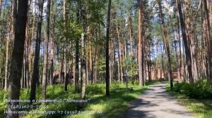 Санаторий, в котором сердце, желудок и суставы лечат не хуже Кавминвод