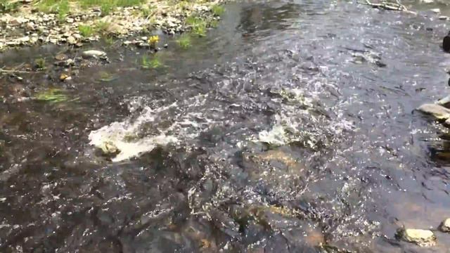 Река Кокша смотреть онлайн