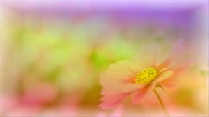 Мама Автор и исполнитель Тамара  Персаева Автор видео Нина Рудакова.mp4