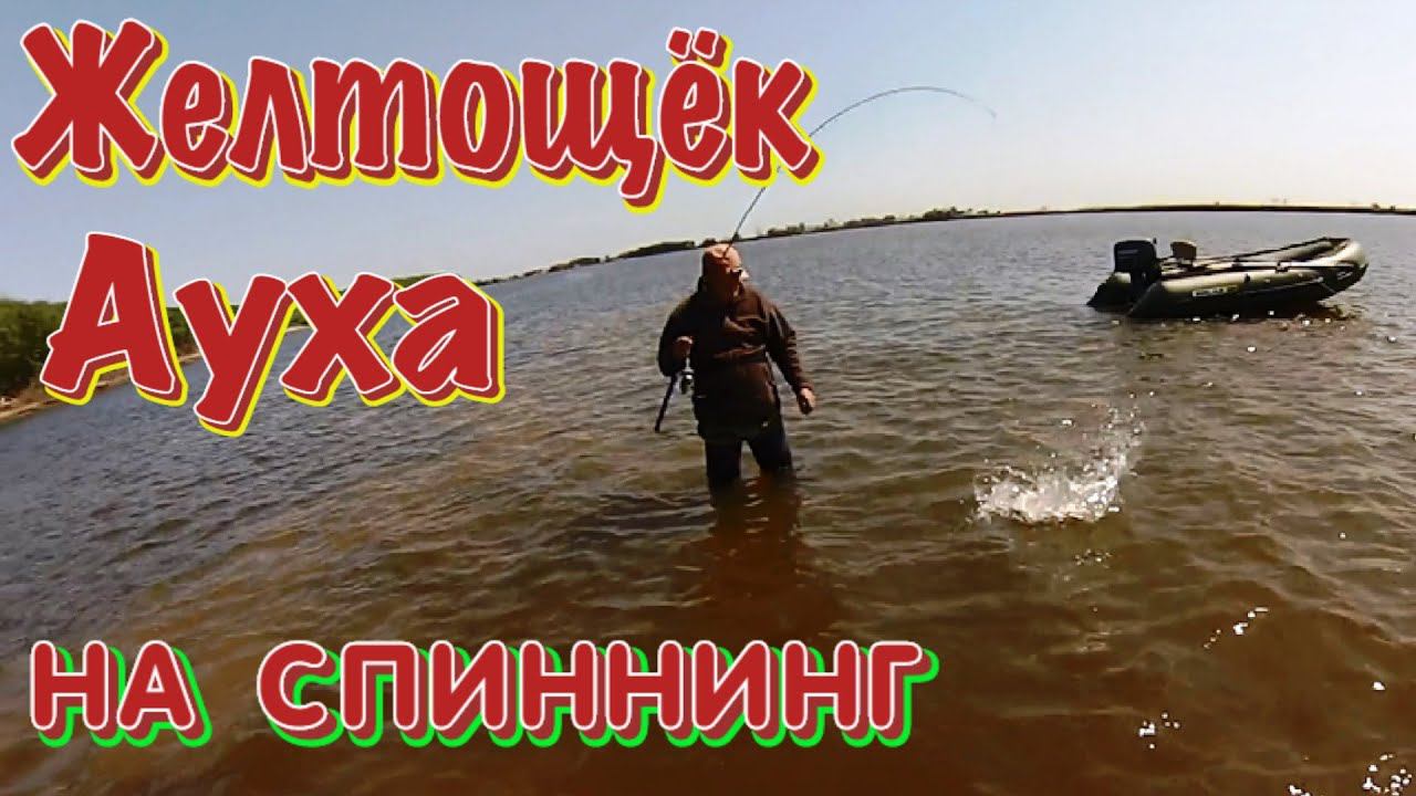 Ауха, Желтощек на Амуре на Спиннинг. Рыбалка на Амуре смотреть онлайн