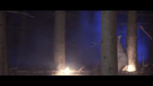 THE OWL DANCE by Rebecca Ippich смотреть онлайн