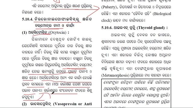 Control and coordination part 5. in odia смотреть онлайн