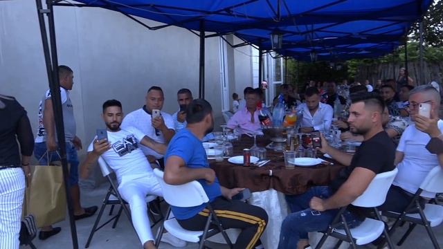 EXTRATERESTRII LA CERAT CHEF CU LAUTARI LA FAGU DE LA MILANO смотреть онлайн