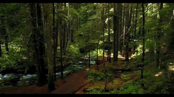 Opera "Oberon", overture - Weber