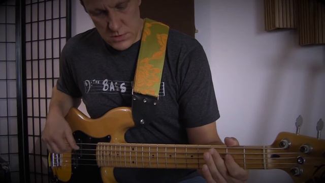 Nordy NP5 pickup Demo - Also Nordy vP5 Bass смотреть онлайн