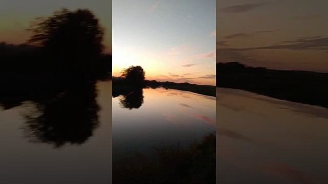 Прекрасно погулять вдоль Берега реки Клязьма, где живут ЛАСТОЧКИ смотреть онлайн