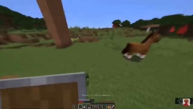 If dream played bedrock edition смотреть онлайн