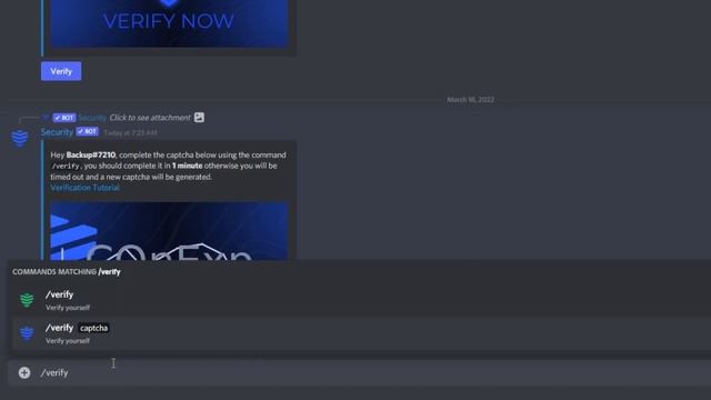 Verify with Security, a powerful Discord bot смотреть онлайн