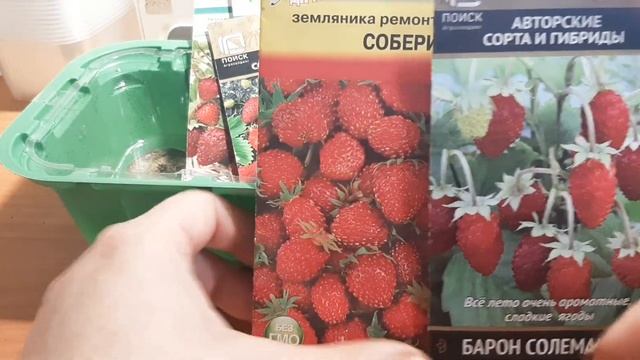 Земляника из семян! Начинаем посевной сезон 2022/23 смотреть онлайн