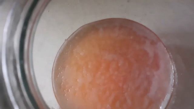 Как быстро выростить чайный гриб? смотреть онлайн