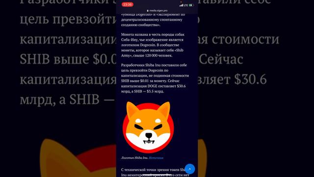 Shiba Inu и другие мем-Коины: в поисках следующего Dogecoin смотреть онлайн