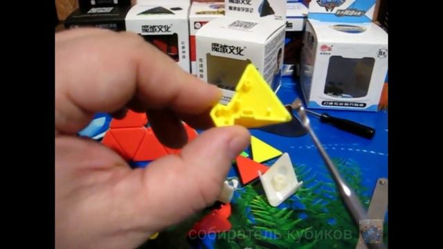 Внутреннее строение пирамидок смотреть онлайн