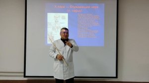 Черепные нервы.Топография черепных нервов.Черепно-мозговые нервы часть 2