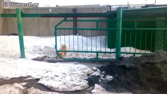 Страж, который всегда у ворот смотреть онлайн