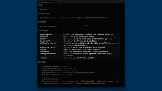 УСТАНОВКА РУССКОЙ ВЕРСИИ WORDPRESS ЧЕРЕЗ WP-CLI (КОМАНДНУЮ СТРОКУ) смотреть онлайн