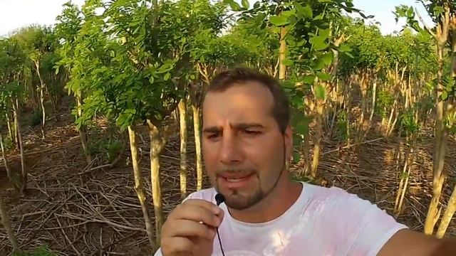 Простое решение! Как действовать в сложной ситуации! смотреть онлайн