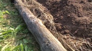 Как сделать грядку на целине!