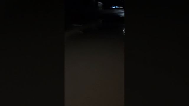 28.10.23. Гор. Семилуки, ул. Мира. Воронеж. обл. М-рн "Берёзки". Направо пойдёшь в лужу попадёшь .. смотреть онлайн